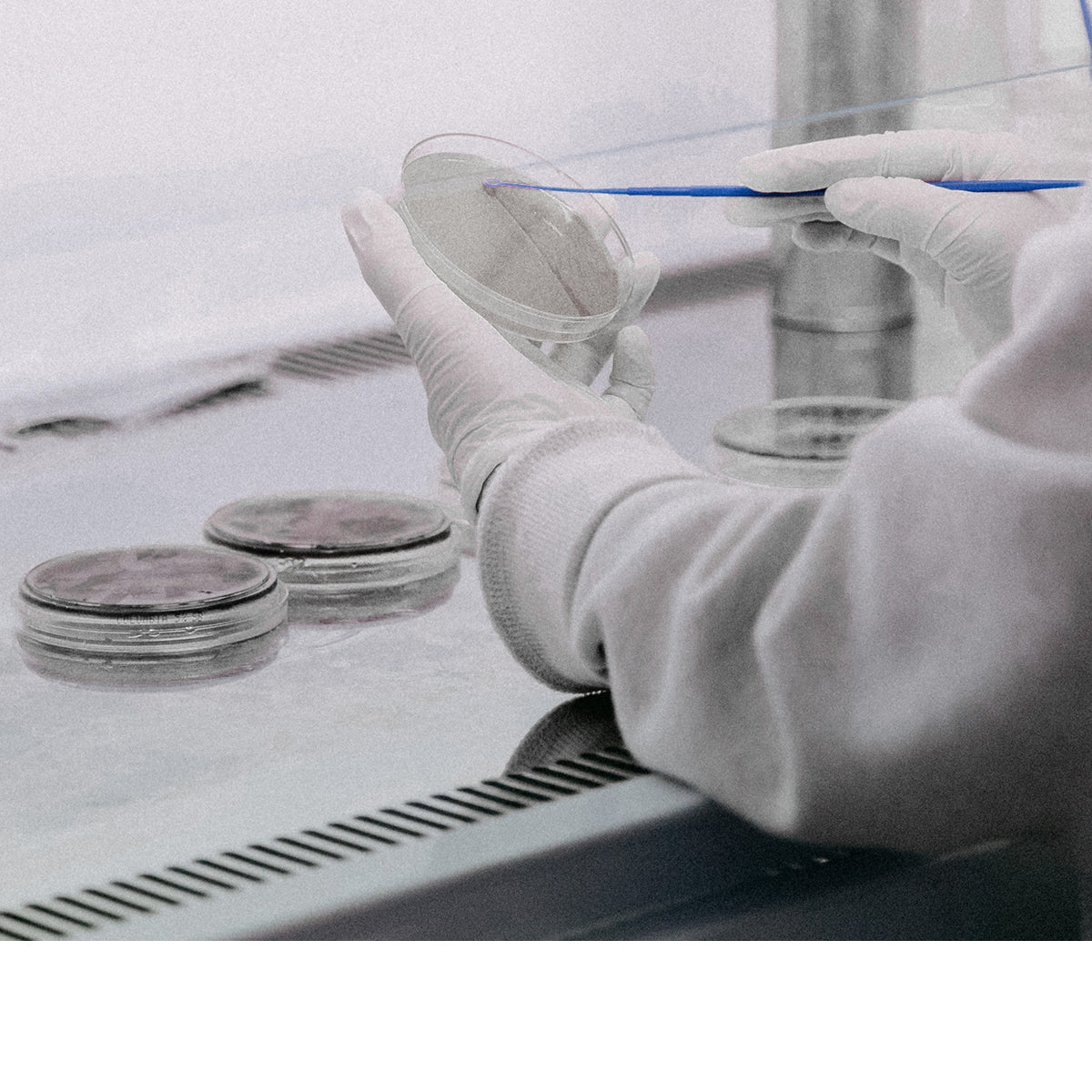 CELIV - Innovación en Dermocosmética directamente del sur de Chile