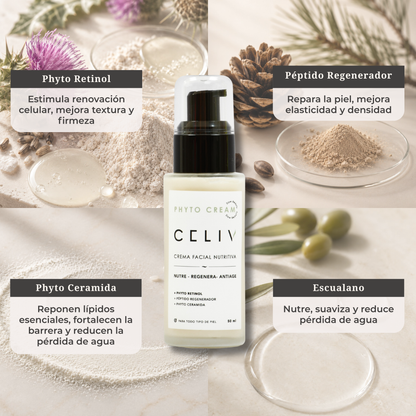 Crema Facial Nutritiva PM - Phyto Cream [50 ml]